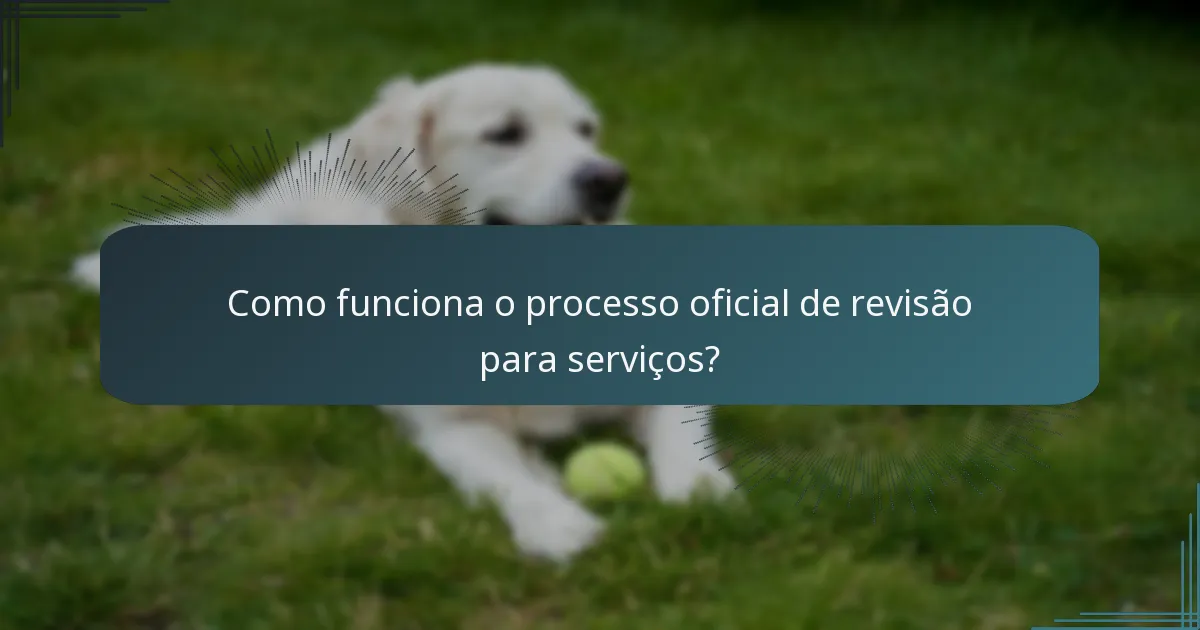 Como funciona o processo oficial de revisão para serviços?