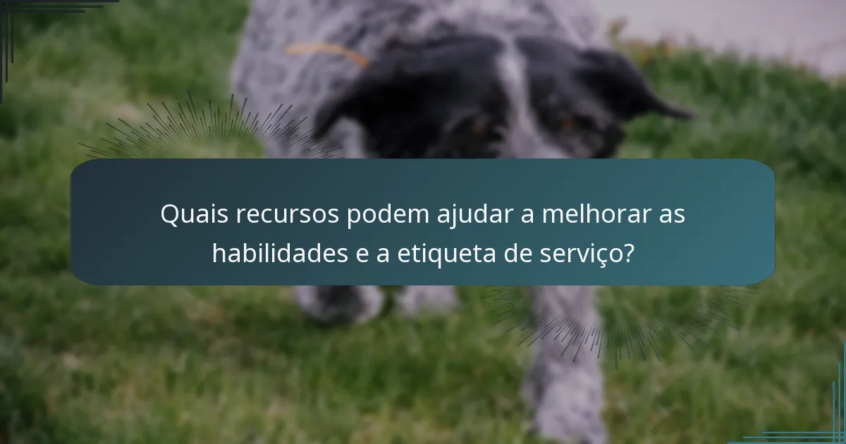 Quais recursos podem ajudar a melhorar as habilidades e a etiqueta de serviço?