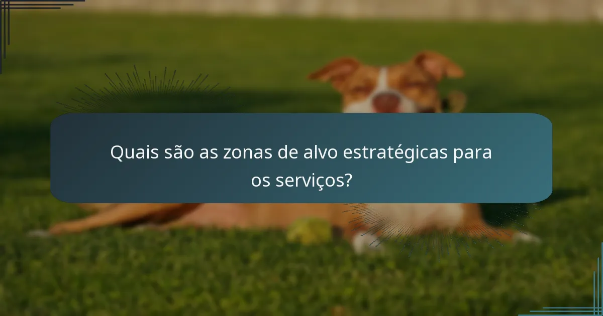 Quais são as zonas de alvo estratégicas para os serviços?